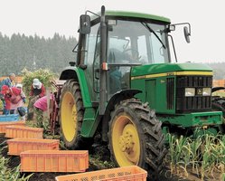 �Ŀ������餻���